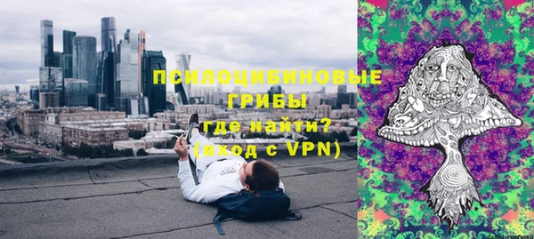 мдпв Костерёво