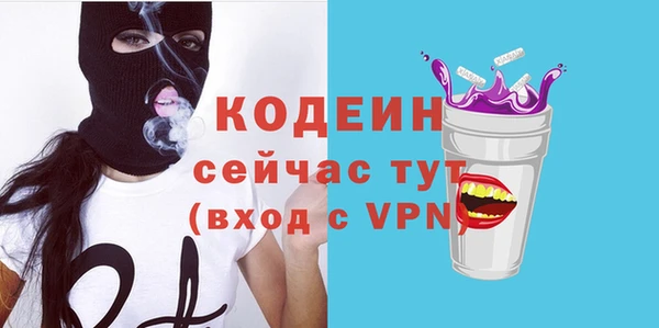 мдпв Костерёво