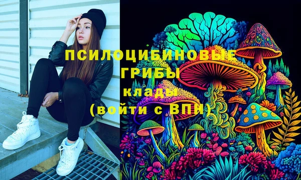 мяу мяу мука Коряжма