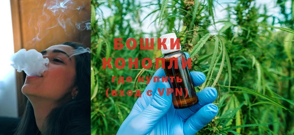 мдпв Костерёво