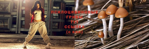 мдпв Костерёво