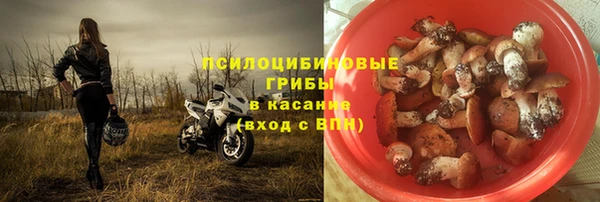 твердый Корсаков