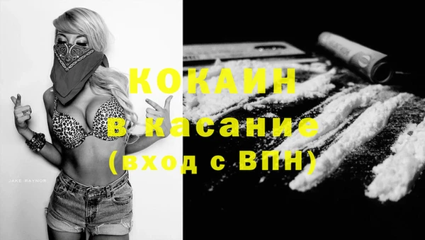 твердый Корсаков