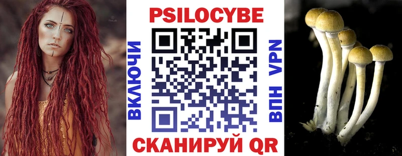 Галлюциногенные грибы мухоморы  Купить где  Баксан 